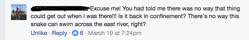 Screen Shot 2017-04-14 at 5.10.49 PM